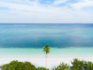 Aerial view tropical beach palm frond caribbean sea at Pasir Panjang. Indonesia Moluccas archipelago, Kei Islands, Banda Sea. Top travel destination, best diving snorkeling, stunning panorama.
