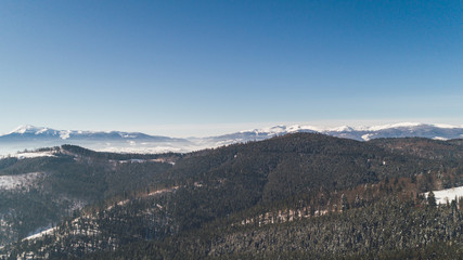 Aerial view of the mountains. Bukovel. Carpathians. Snow. Winter. Forest. Trees. Day.
