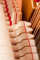 piano mechanic - close up