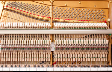piano mechanic - close up