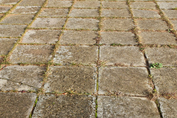 Old grey weathered concrete stone plates overgrown grass in yard outdoors as abstract textured background.