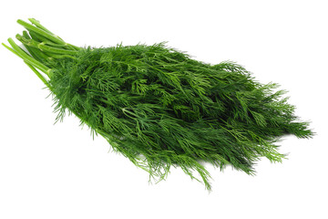 bunch fresh green dill isolated on white background