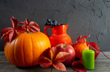Autumn Harvest and Holiday Thanksgiving still life