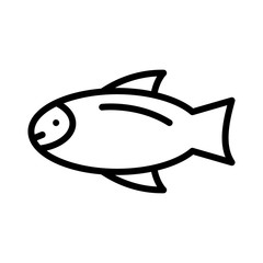 fish  seafood   water