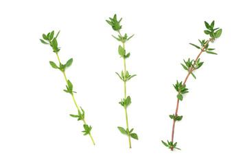 Thyme bunch isolated on white background close up