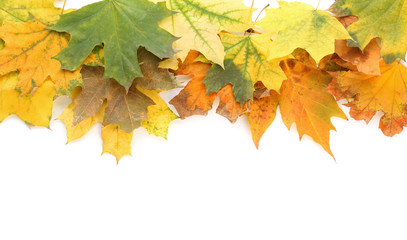 Composition with autumn leaves and space for text on white background, top view