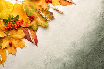 Composition with autumn leaves on color background