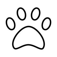 paw   animal   foot