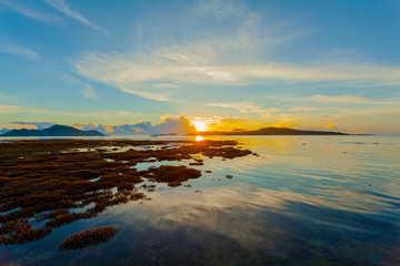 Coral reef emerges from the water at a reduced water level..during low tide we can see a lot of coral reef and marine fishes around Rawai beach Phuket island.