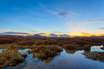Coral reef emerges from the water at a reduced water level..during low tide we can see a lot of coral reef and marine fishes around Rawai beach Phuket island.