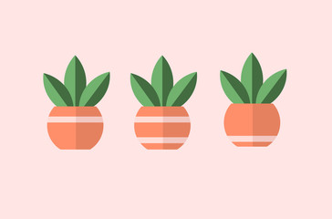 Plant in pots with lines. 3 different vectors, simple designs.