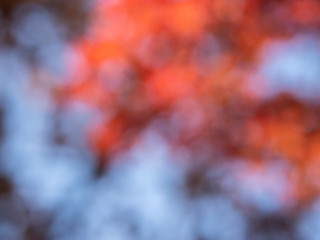 Colorful autumn bokeh - nature background.