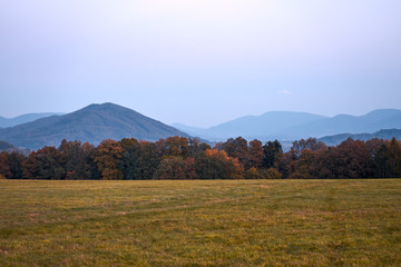 Cloudy morning on the meadow, forest with autumn leaves and Beskydy mountains in the distance
