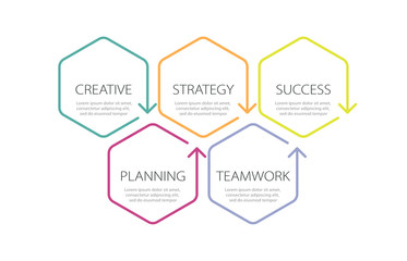 Thin line infographic template with 5 steps. Modern business concept infographics with options for brochure, diagram, workflow, timeline. Vector EPS 10