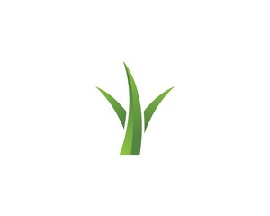 Obraz premium Grass logo vector