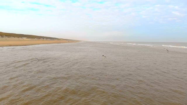 Aerial view Gulls fly over the northern sea. Slow motion 120 fps. Netherlands, Zandvoort morning on the beach