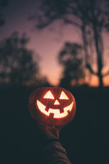 Zucca di Halloween tenuta in mano