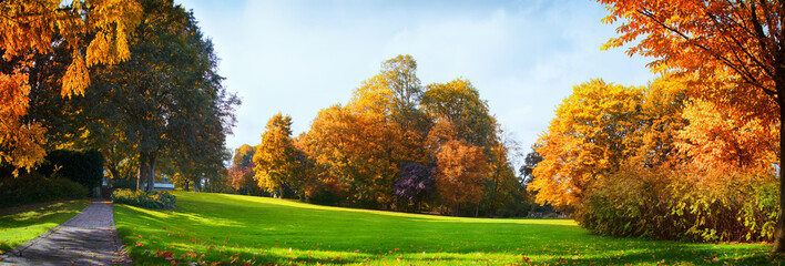 Obraz premium Colorful Autumn Trees And Blue Cloudy Sky - Seasonal Park Without Any People