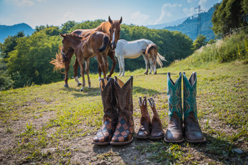 mum and dad country boots with baby boots for baby newborn with mare and foal horses