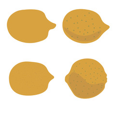 Lemon set isolated on white background. Vector illustration.
