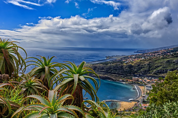 Madeira Aussicht View Aloevera