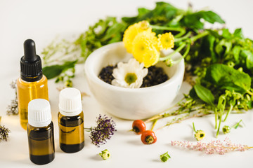 Obraz na płótnie Canvas bottles of essential oils and herbs on white surface, alternative medicine concept