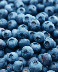 Blueberries, close-up