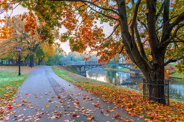 Morning in old botanical park of Riga - capital of Latvia, EC