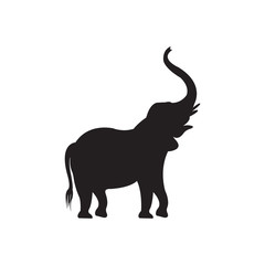 Elephant vector drawing on white backdrop