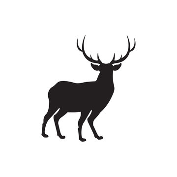 Deer icon illustration on white backdrop