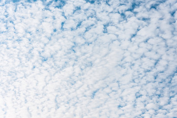 Obraz premium Altocumulus cloudscape on blue blue sky for background.