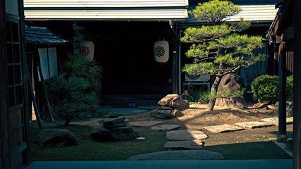 A lone Japanese Pine tree sits in the courtyard of a classic old style Japanese house. Sun rays hit the tree to illuminate it against the shadow of the house and garden.
