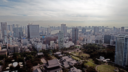 Fototapeta na wymiar Sky view of downtown Tokyo taken from the Sky view tower. The metropolis of Tokyo expands to the horizon with the skyscrapers and towers in the foreground.