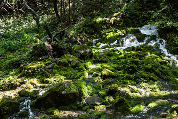 waterfall among rocks covered with moss