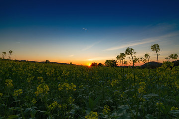 Sonnenuntergang, Dettingen an der Erms