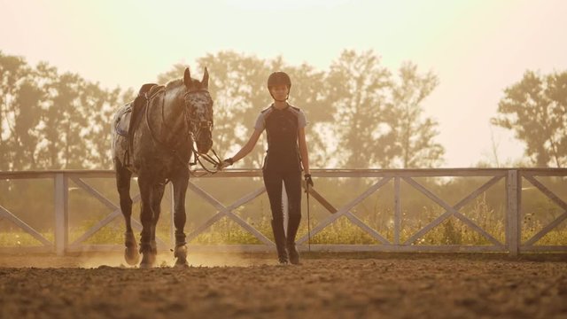 Super slow motion of a young jockey girl leads her horse on arena at sunset.