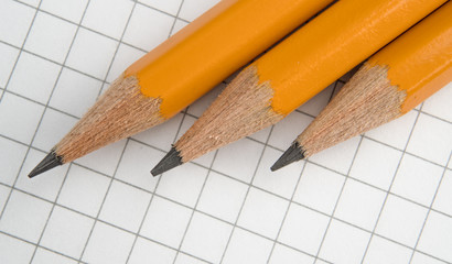 Pencils are on a notebook in a cage. Close up.