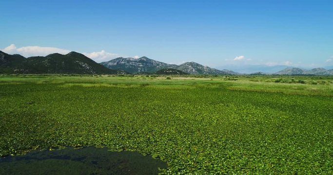 Aerial view of the landscape of Lake Skadar in the mountain on a beatiful sunny day. Montenegro. The territory of Lake Skadar overgrown with plants.