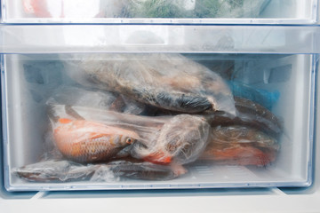 Freezer refrigerator with a variety of frozen foods, frozen fish