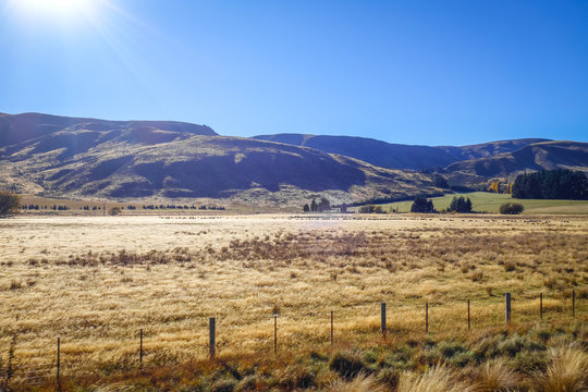Mountain fields landscape in New Zealand