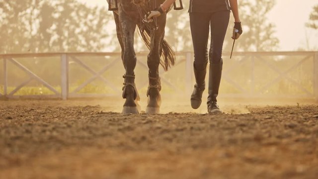 Super slow motion of a young jockey girl leads her horse on arena at sunset.