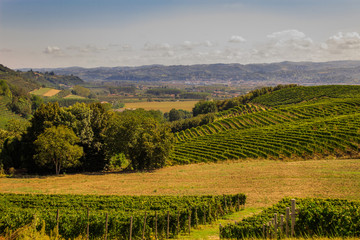 Fototapeta na wymiar Santa Vittoria d'Alba village, vineyards and countryside landscape in Piemonte. Alba Piemonte, Italy Europe