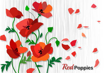 Abstract background with red poppies. Vector illustration