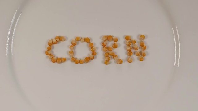 Animation with dried corn kernels forming the word CORN.