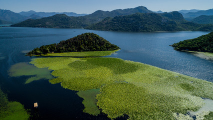 Aerial view of the beautiful landscape of Lake Skadar in the mountain on a sunny day. Montenegro. The territory of Lake Skadar overgrown with plants. © ronedya