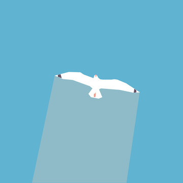 white seagull soaring blue sky clip art preview