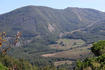 Vallata con foresta roccia e faglia tettonica