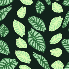 Seamless Tropical Pattern. Trendy Background with Rain Forest Plants. Vector Leaf of Alocasia. Araceae. Handwritten Jungle Foliage in Watercolor Style. Seamless Exotic Pattern for Textile, Fabric.