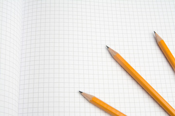 The pencil lying on the notebook. Close up.