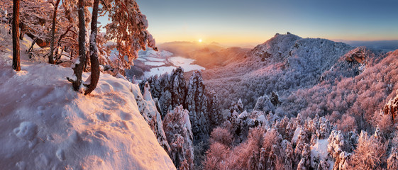Winter mountain landscape panorama with snow forest